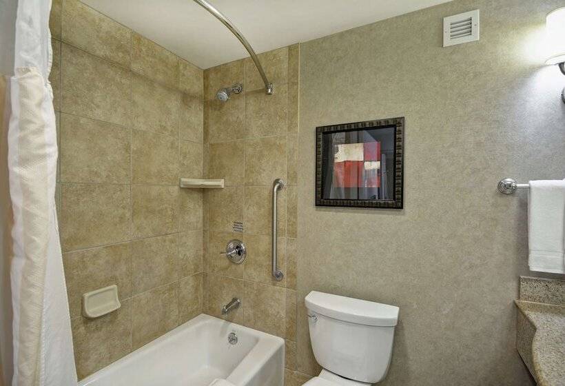 Номер Стандарт, Hilton Garden Inn Toledo Perrysburg