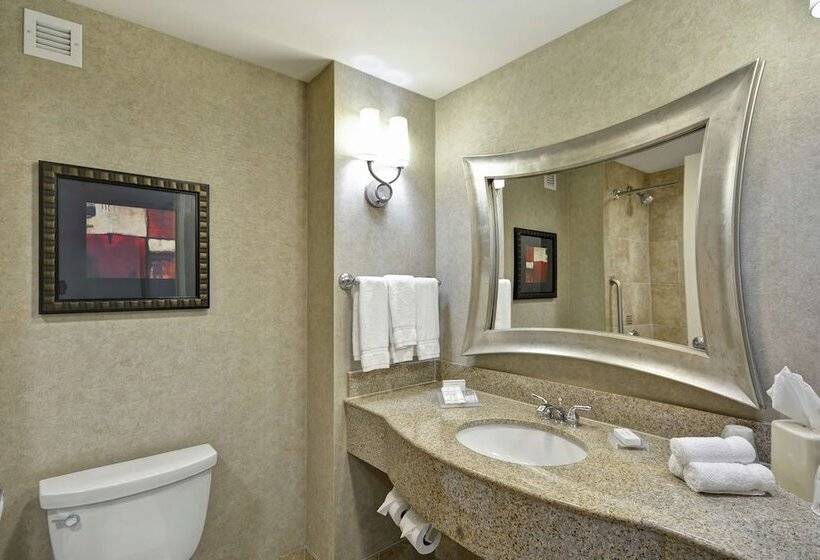 غرفة قياسية, Hilton Garden Inn Toledo Perrysburg