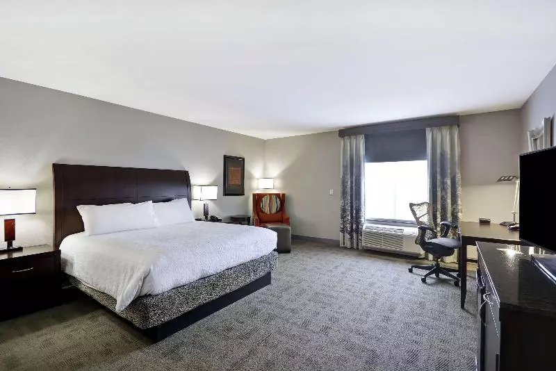 キングサイズベッドのスタンダードルーム, Hilton Garden Inn Toledo Perrysburg