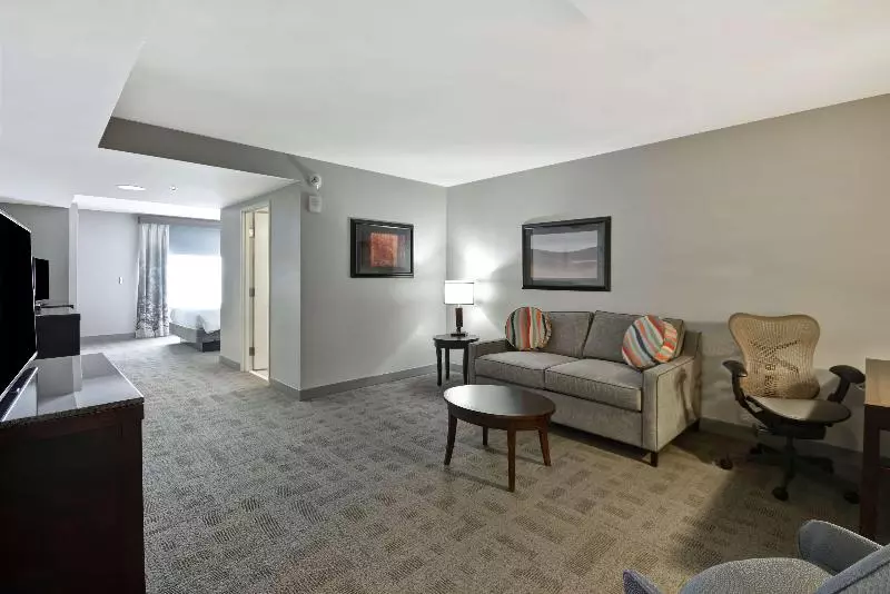 キングサイズベッドのジュニアスイート, Hilton Garden Inn Toledo Perrysburg