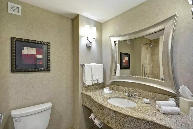 キングサイズベッドのジュニアスイート, Hilton Garden Inn Toledo Perrysburg