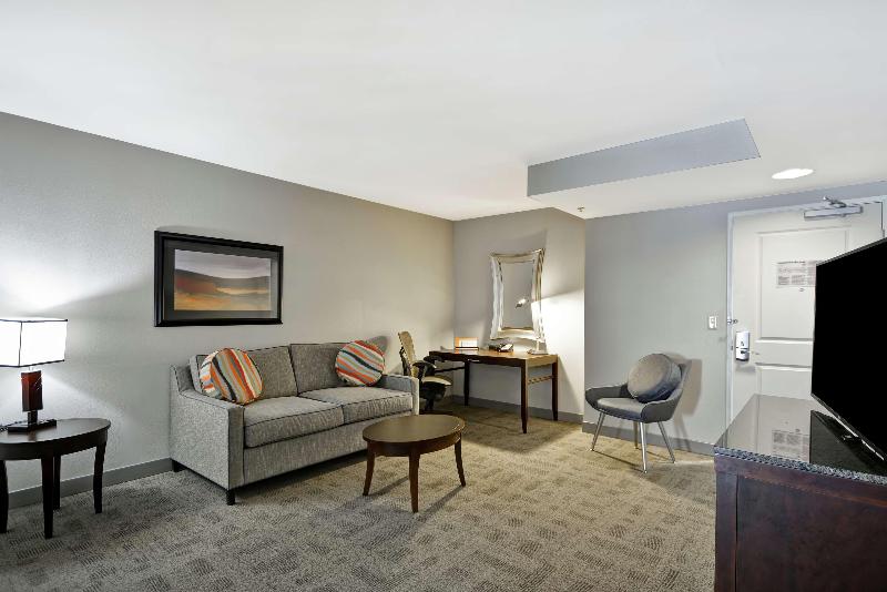Полулюкс Кровать Кинг, Hilton Garden Inn Toledo Perrysburg
