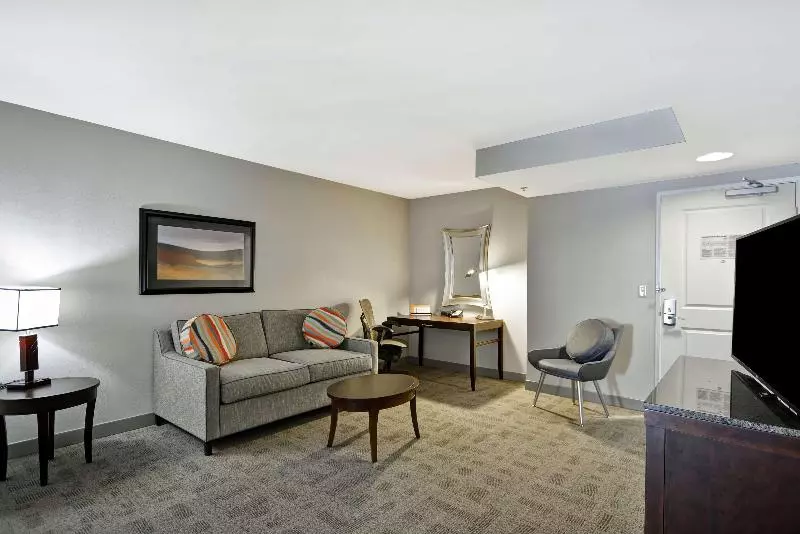 キングサイズベッドのジュニアスイート, Hilton Garden Inn Toledo Perrysburg