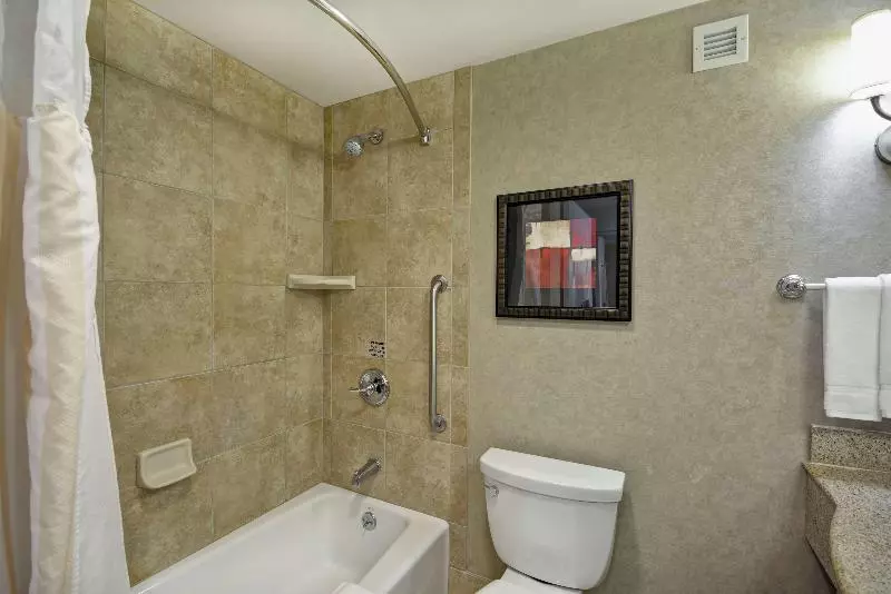 キングサイズベッドのジュニアスイート, Hilton Garden Inn Toledo Perrysburg