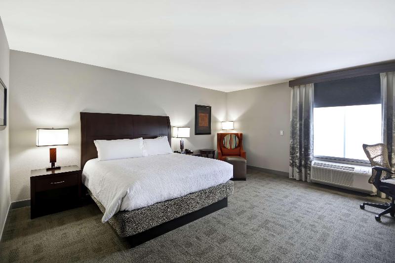 غرفة قياسية سرير كينج, Hilton Garden Inn Toledo Perrysburg