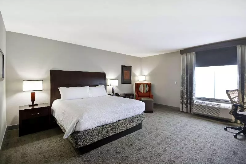 キングサイズベッドのスタンダードルーム, Hilton Garden Inn Toledo Perrysburg