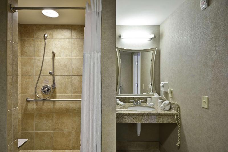 Стандартный Номер Кровать Кинг, Hilton Garden Inn Toledo Perrysburg