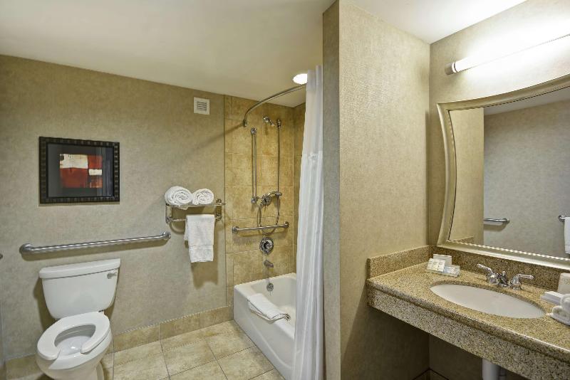 جناح جونيور سرير كينج, Hilton Garden Inn Toledo Perrysburg