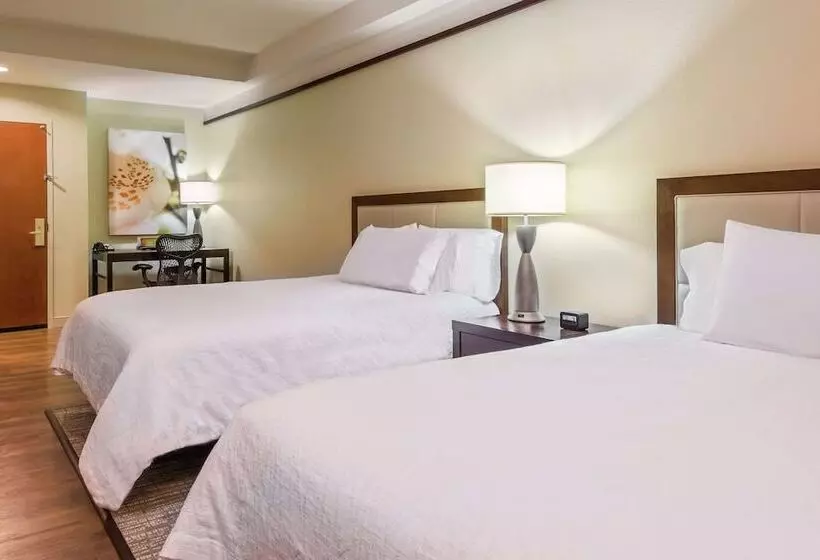 Standard-huone, Hilton Garden Inn West Palm Beach Airport