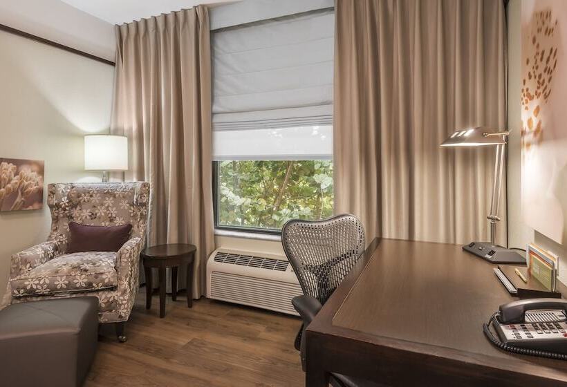 غرفة قياسية, Hilton Garden Inn West Palm Beach Airport