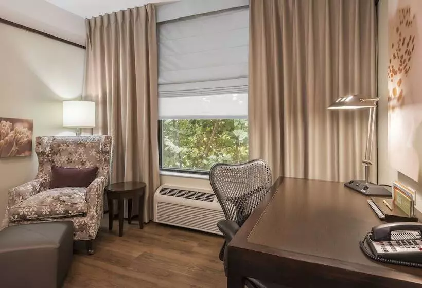 Standard-huone, Hilton Garden Inn West Palm Beach Airport