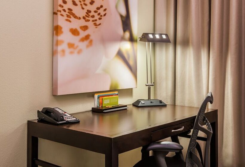 جناح ديلوكس, Hilton Garden Inn West Palm Beach Airport