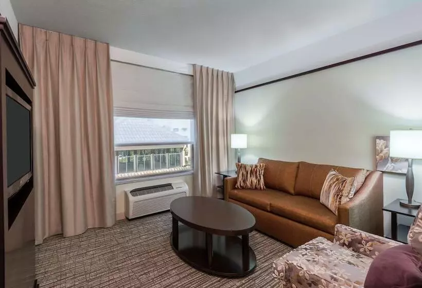 Deluxe-sviitti, Hilton Garden Inn West Palm Beach Airport