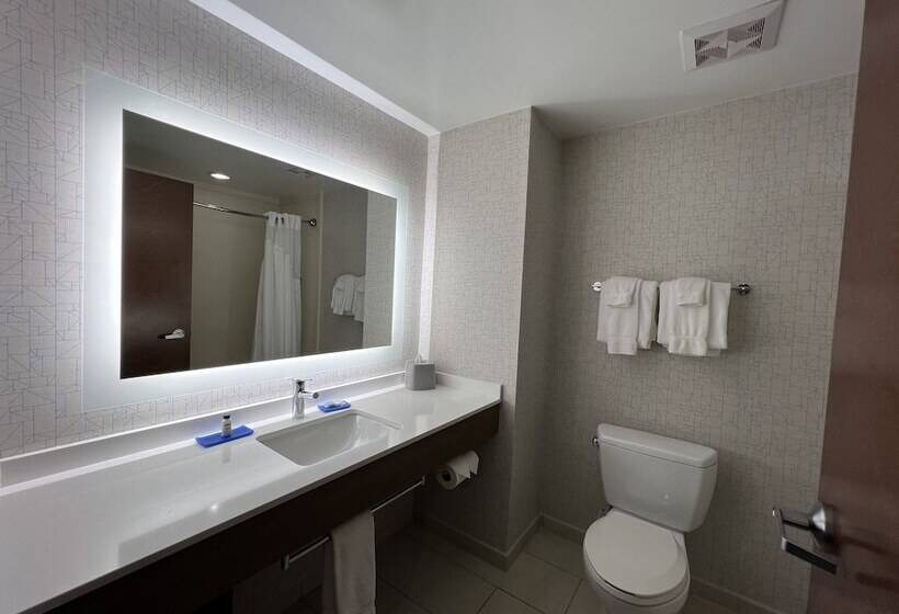 套房, Holiday Inn Express & Suites Columbia   East Elkridge, Jessup An Ihg