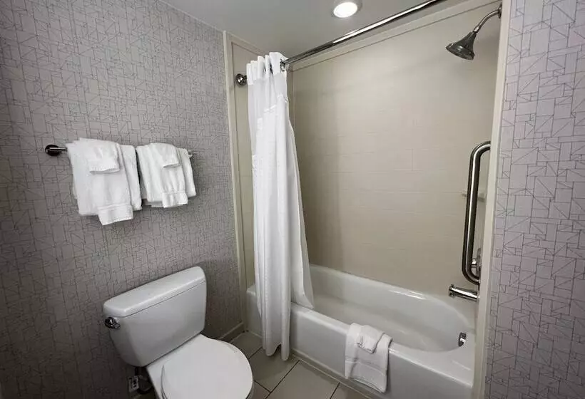 スイート, Holiday Inn Express & Suites Columbia   East Elkridge, Jessup An Ihg