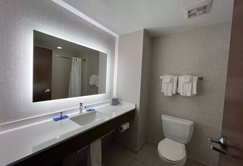 スタンダードルーム, Holiday Inn Express & Suites Columbia   East Elkridge, Jessup An Ihg