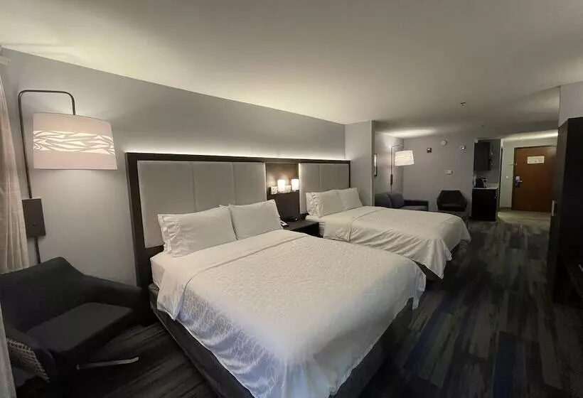 スイート, Holiday Inn Express & Suites Columbia   East Elkridge, Jessup An Ihg