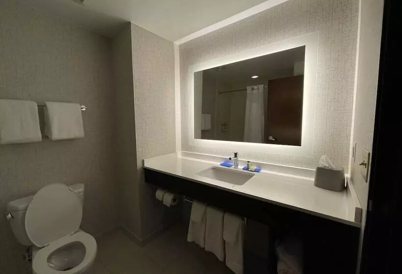 身障者適用スイートルーム, Holiday Inn Express & Suites Columbia   East Elkridge, Jessup An Ihg