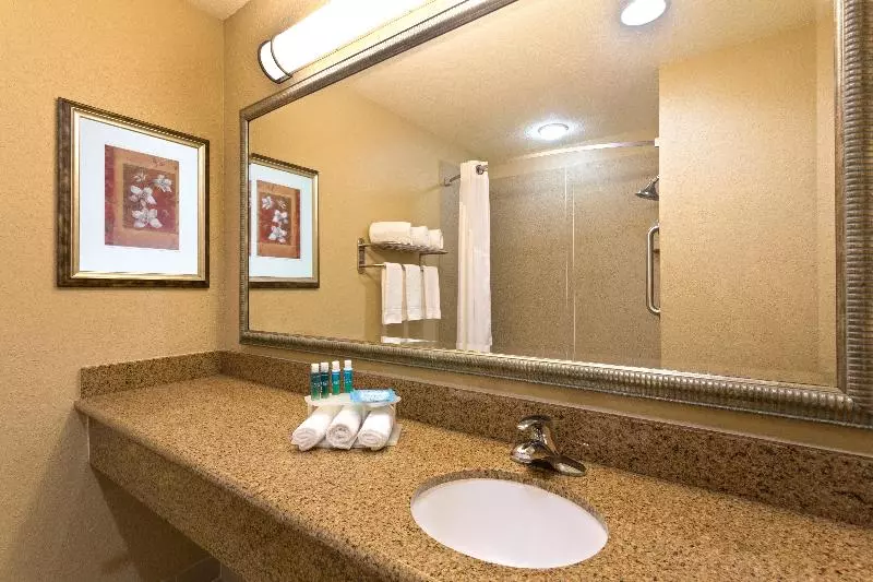 اتاق استاندارد با تخت بزرگ, Holiday Inn Express & Suites Lakeland North I 4, An Ihg