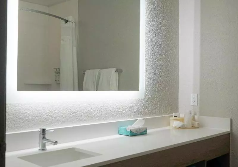 اتاق استاندارد, Holiday Inn Express & Suites Lakeland North I 4, An Ihg