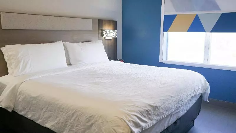 استودیو استاندارد با تخت کینگ, Holiday Inn Express & Suites Lakeland North I 4, An Ihg
