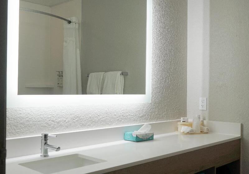 סטודיו סטנדרט, מיטה זוגית, Holiday Inn Express & Suites Lakeland North I 4, An Ihg