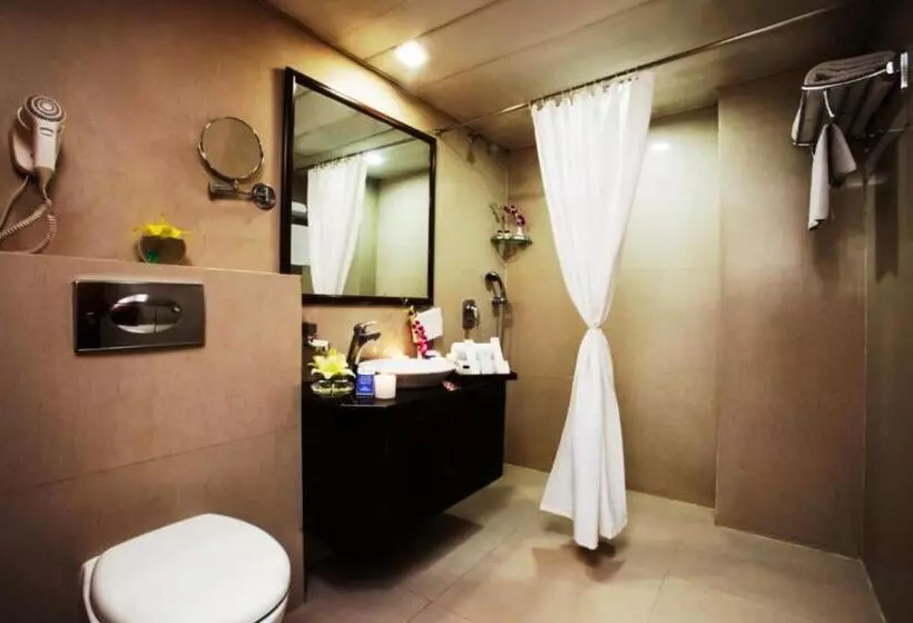 エクゼクティブルーム, Taurus Sarovar Portico