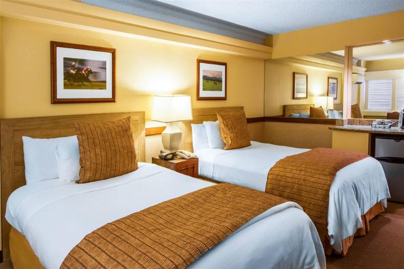 豪华房间, The Equus