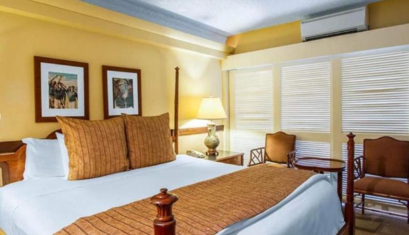 带大床的豪华间, The Equus