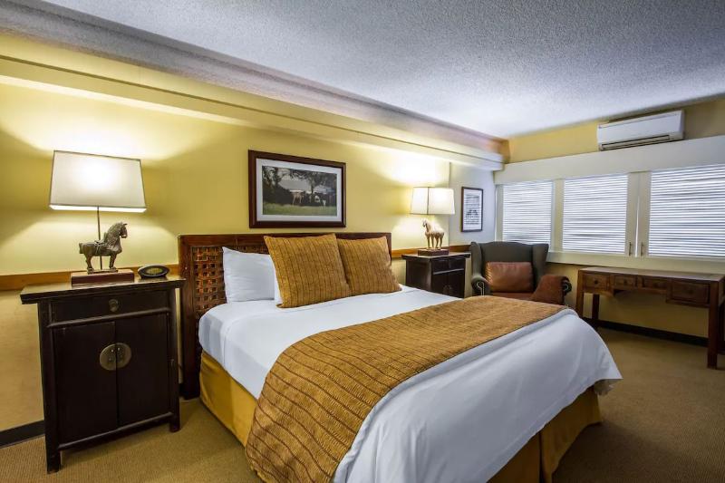 带大床的行政房间, The Equus