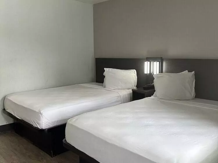 デラックスルーム, Motel 6jacksonville, Fl  Orange Park