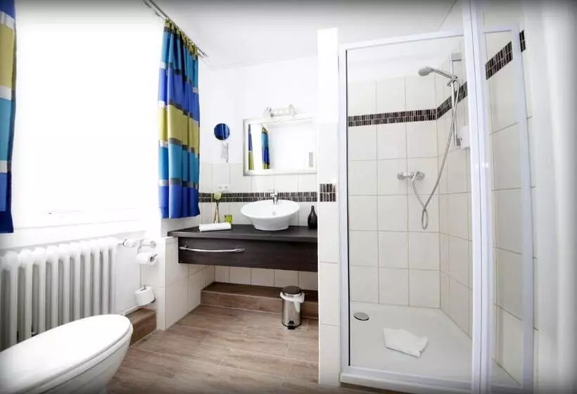 اتاق سوپریور یک تخته, Parkhotel Villingen Und Boardingzimmer
