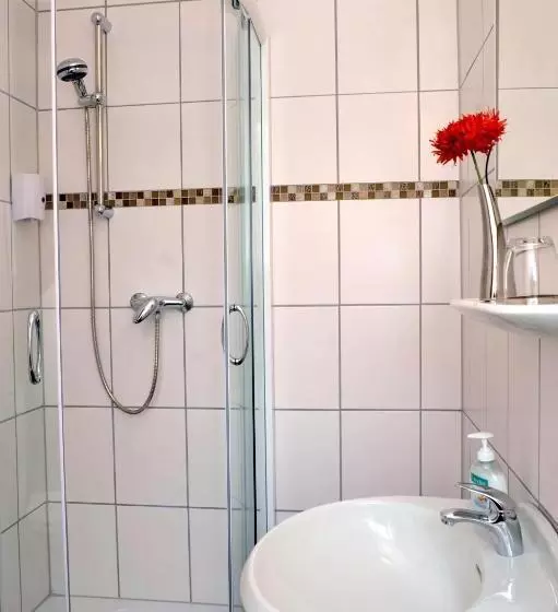 اتاق سوپریور یک تخته, Parkhotel Villingen Und Boardingzimmer
