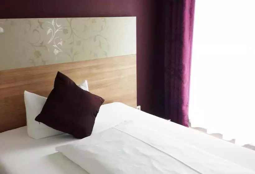 اتاق سوپریور, Parkhotel Villingen Und Boardingzimmer