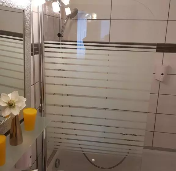 اتاق استاندارد, Parkhotel Villingen Und Boardingzimmer