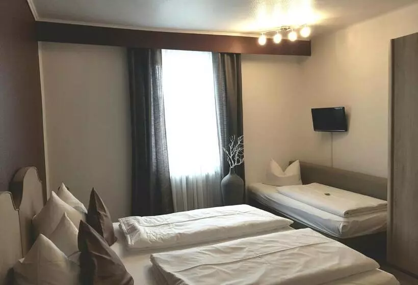 اتاق استاندارد سه نفره, Parkhotel Villingen Und Boardingzimmer