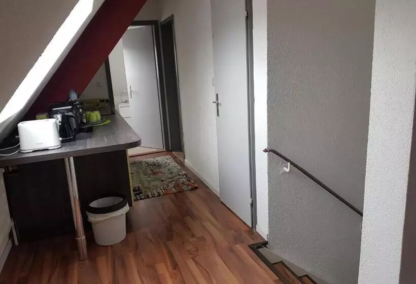 آپارتمان 1 خوابه, Parkhotel Villingen Und Boardingzimmer