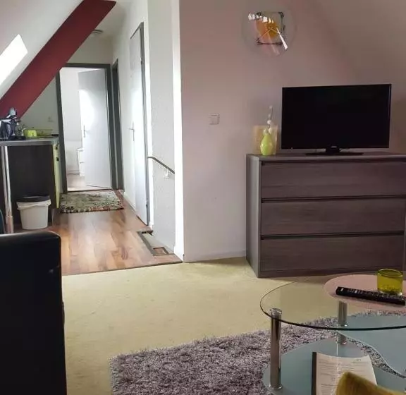 آپارتمان 1 خوابه, Parkhotel Villingen Und Boardingzimmer