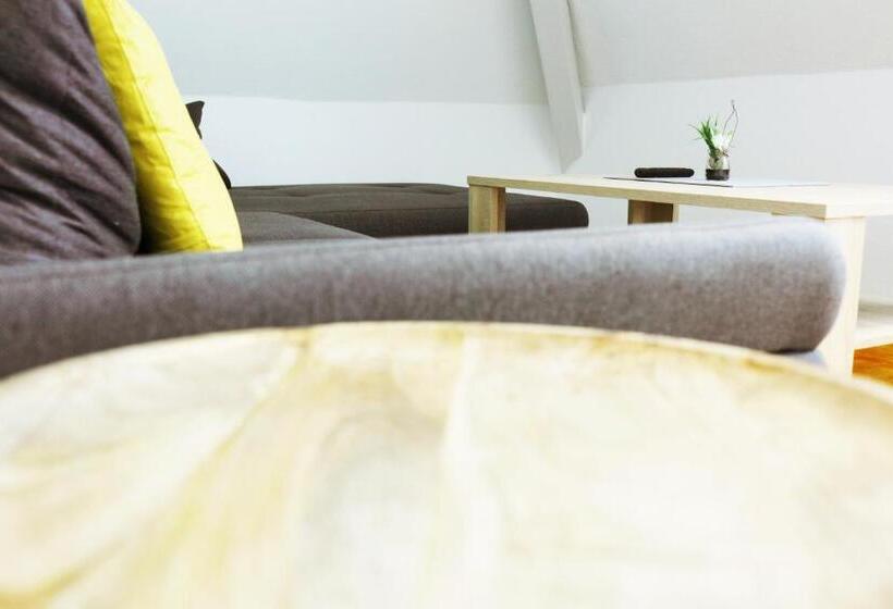 Апартаменты 1 Спальня, Parkhotel Villingen Und Boardingzimmer