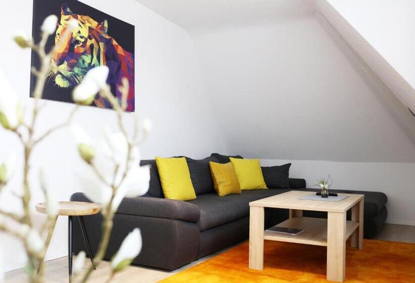 דירת חדר, Parkhotel Villingen Und Boardingzimmer