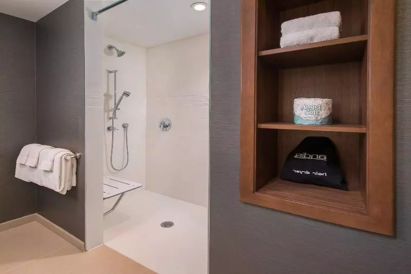 اتاق استاندارد برای معلولان, Hampton Inn Wilmingtonuniversity Area/smith Creek Station