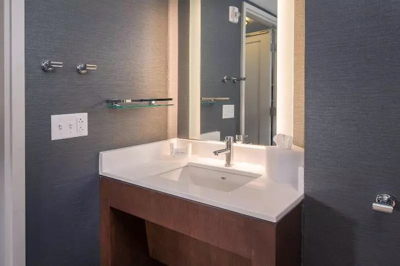 اتاق استاندارد برای معلولان, Hampton Inn Wilmingtonuniversity Area/smith Creek Station