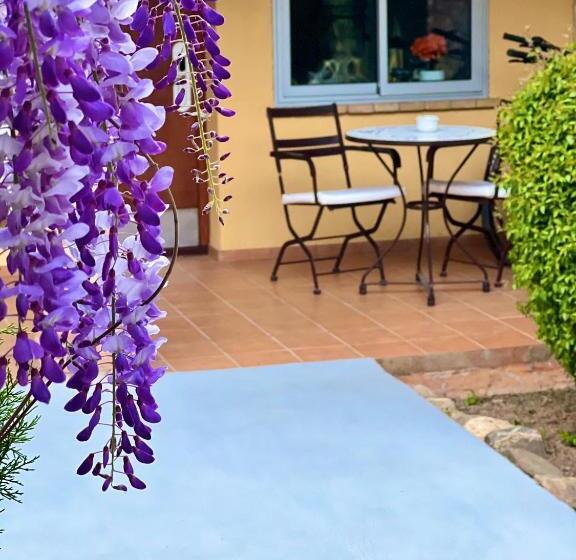 Habitació Estàndard amb Terrassa, Aatu   Adults Only