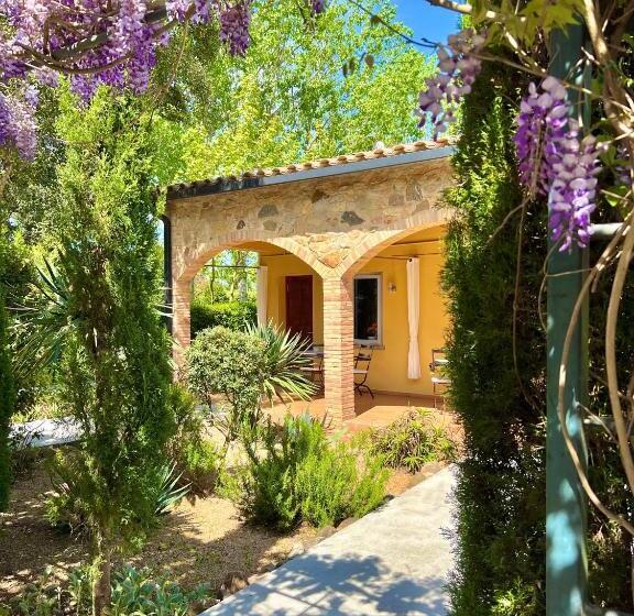 Habitació Estàndard amb Terrassa, Aatu   Adults Only