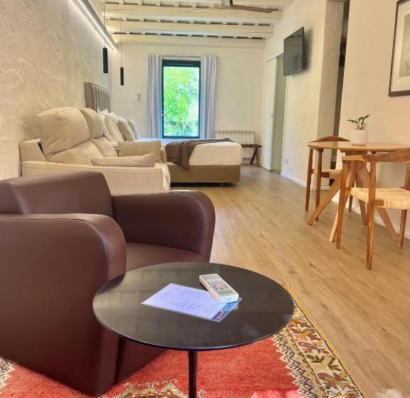 Junior Suite amb Terrassa, Aatu   Adults Only