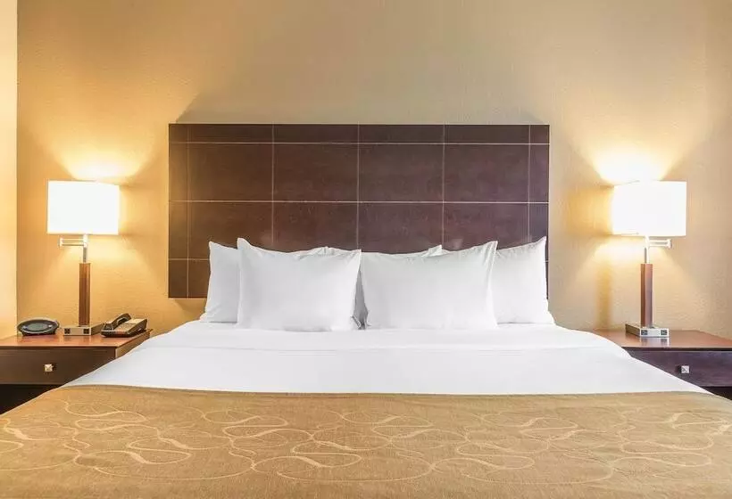 スイート, Comfort Suites North