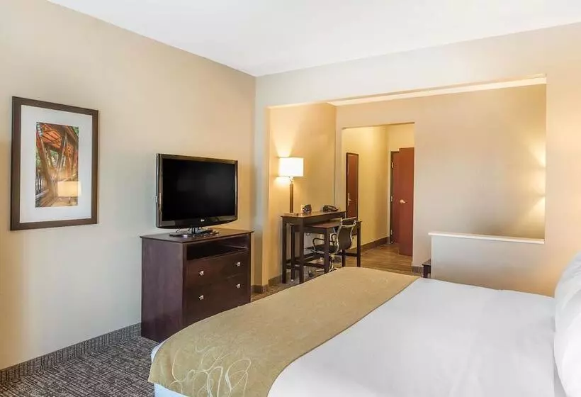 スイート, Comfort Suites North
