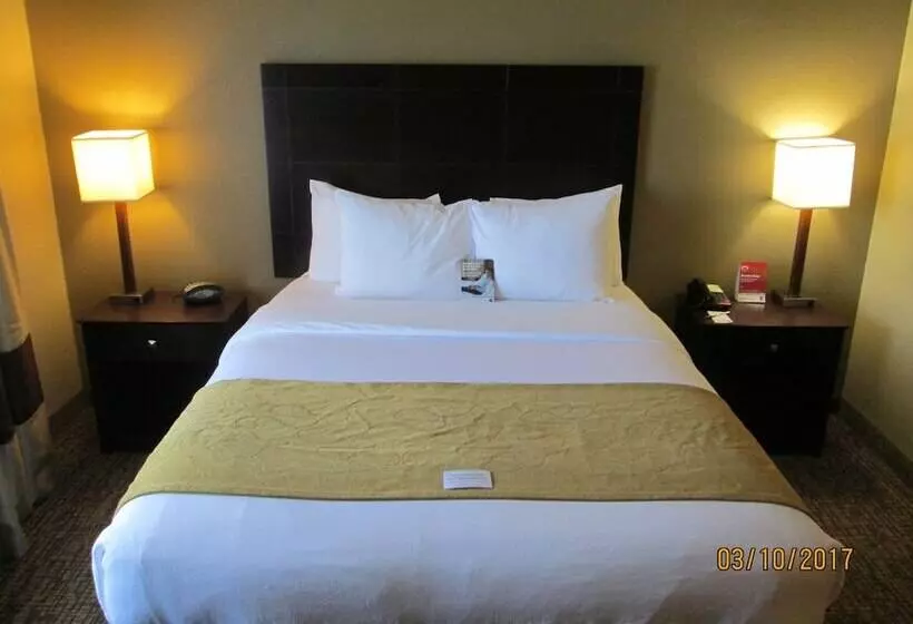 身障者適用スイートルーム, Comfort Suites North