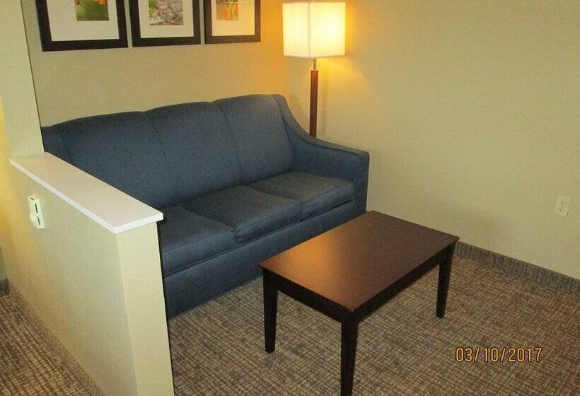 Suíte para Deficientes Físicos, Comfort Suites North