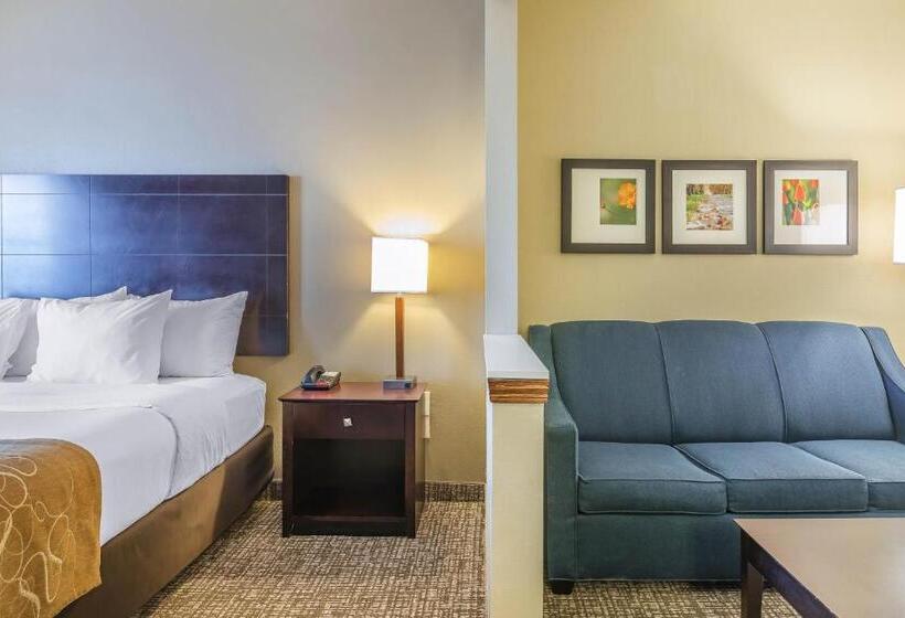 Suíte Cama King, Comfort Suites North